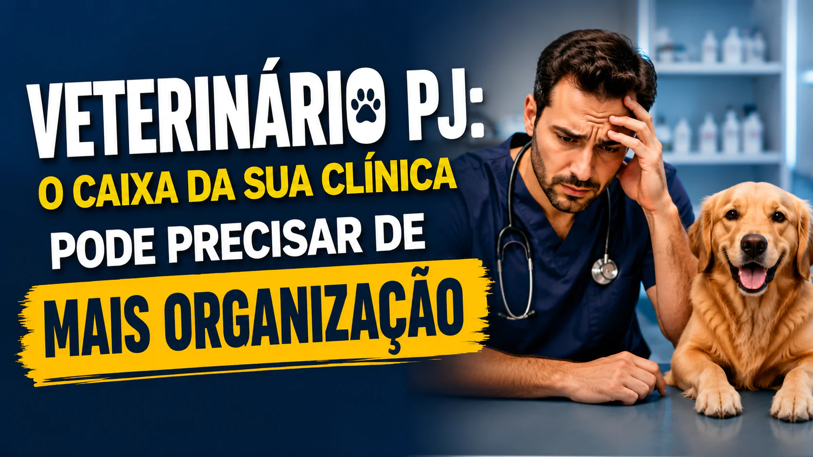 Veterinário organiza painel colorido de finanças da clínica veterinária